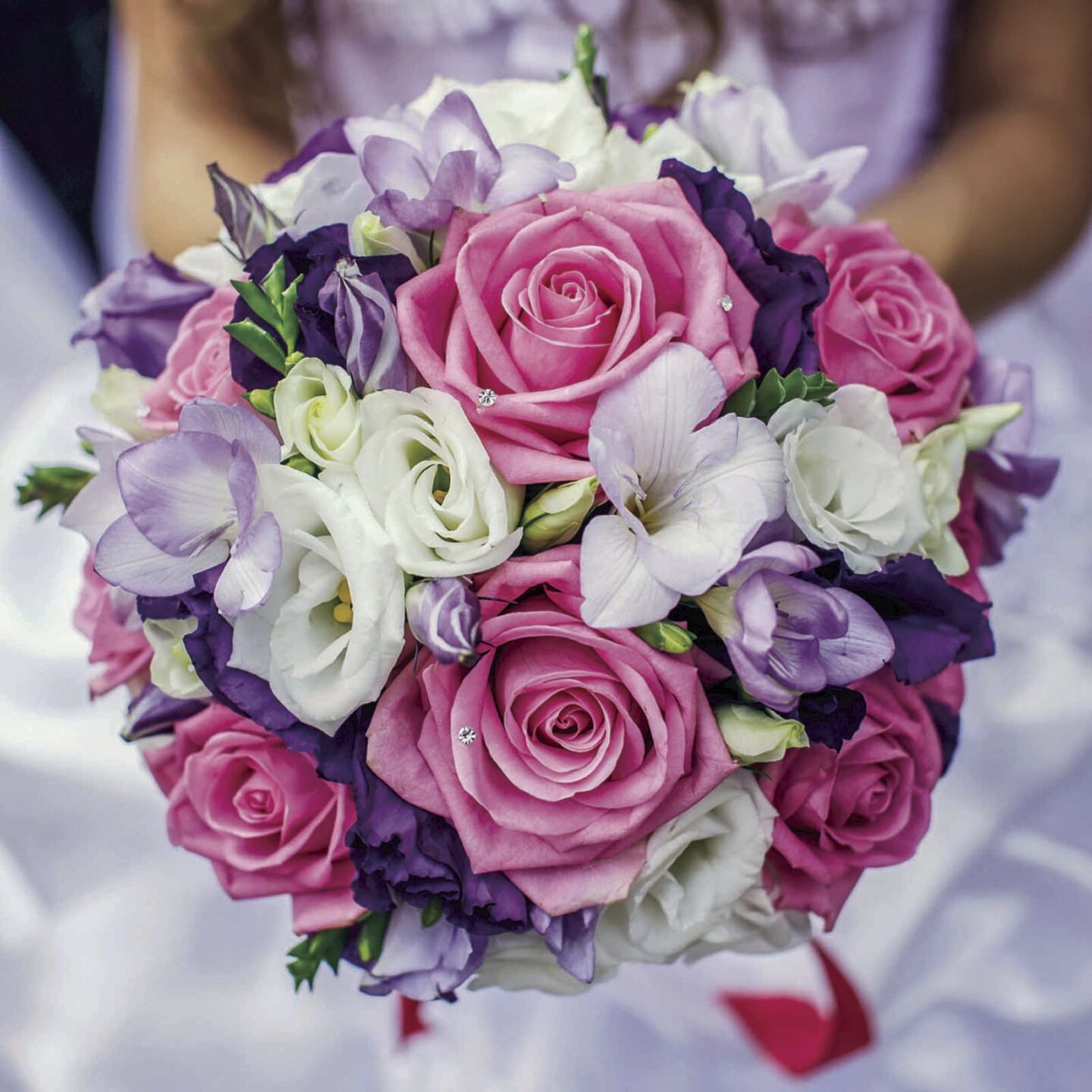 purple flowers.jpg